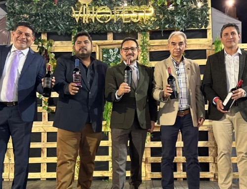 VINOFEST 2025 abrió sus puertas