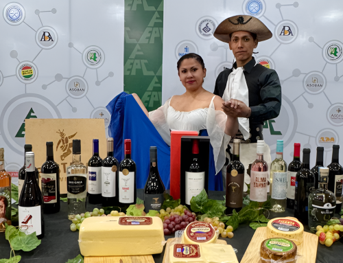 VINOFEST 2025 en su XII versión