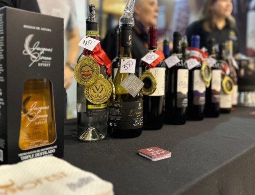 VINOFEST 2025 cierra con la Ruta del Vino