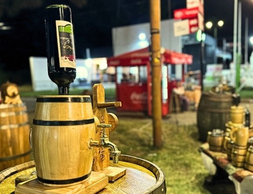 Segunda jornada del VINOFEST 2025