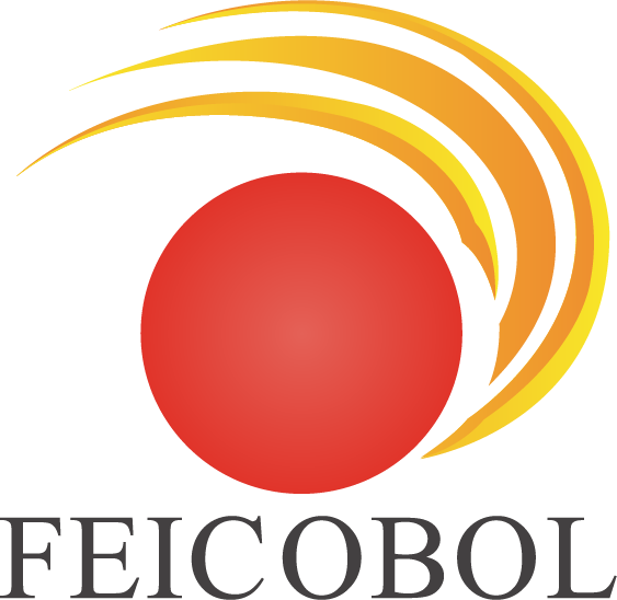 Recurso 2FEICOBOL