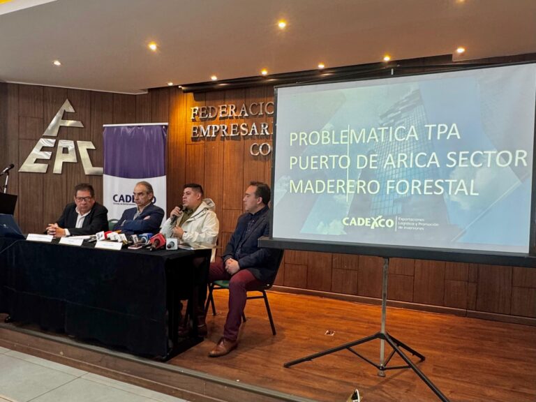 FEPC Y CADEXCO PIDEN TRANSPARENCIA, INVESTIGACIÓN TÉCNICA Y RESPETO AL DEBIDO PROCESO ANTE CASO DE MADERAS BOLIVIANAS EN PUERTOS CHILENOS